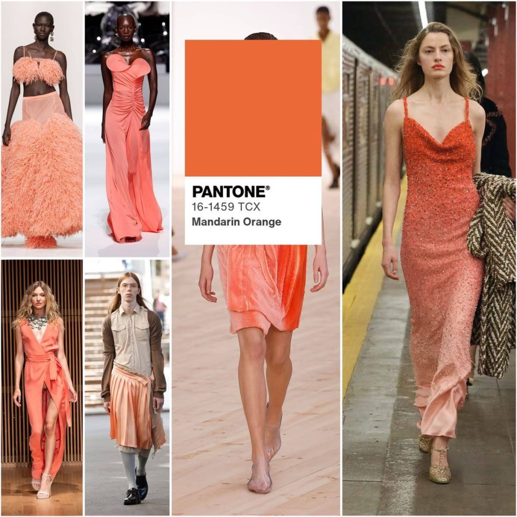 Колір Burnt Orange (Mandarin / Muskmelon) — теплий помаранчевий